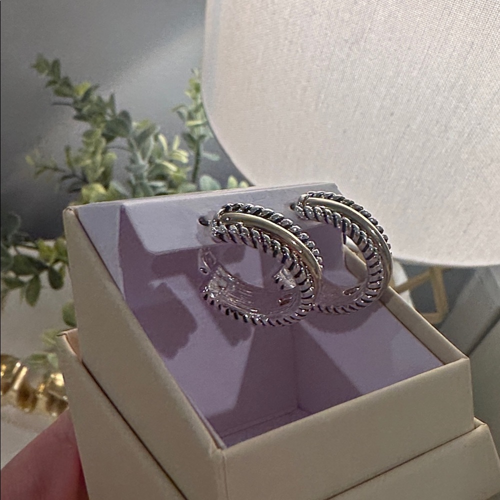 Silver and Gold Hoop Earrings - Picture 3 of 4